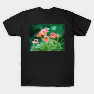 Nasturtium flowers photo T-Shirt